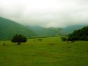 Azerbaijan