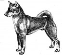 Shikoku