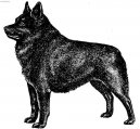 �iperka