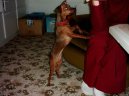 Zwergpinscher
