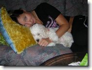 Bichon  poil fris, Bichon Frise