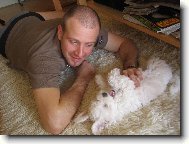 Bichon  poil fris, Bichon Frise