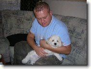 Bichon  poil fris, Bichon Frise
