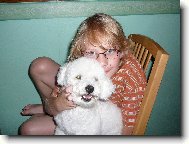 Bichon  poil fris, Bichon Frise