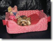 Jorkrsk terier, Yorkshire Terrier,