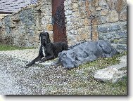 Great dane \(Dog standard\)