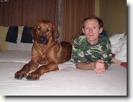 Rhodesian Ridgeback