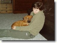 Rhodesian Ridgeback