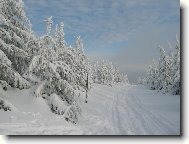 The Czech republic